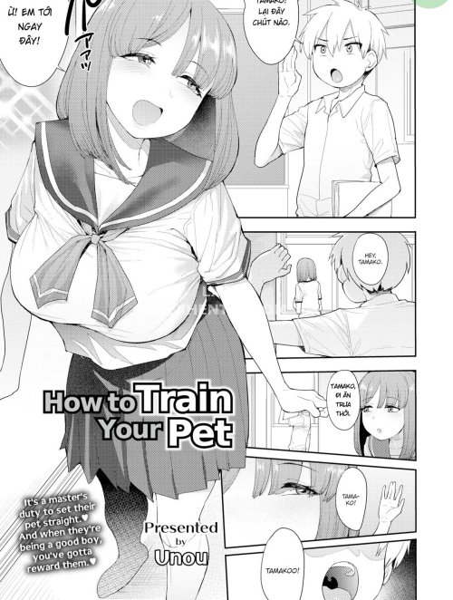 How To Train Your Pet